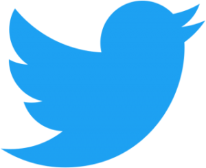 blue-logo-twitter-birds-emblem-3